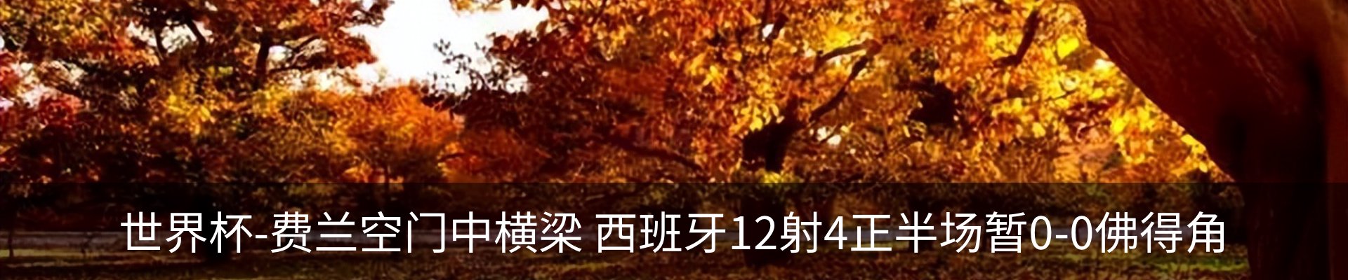 资讯动态